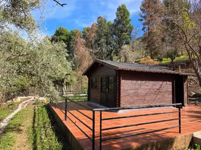 a small building on a deck with trees in the background at Auberge RAMZ'S in Beni Mellal