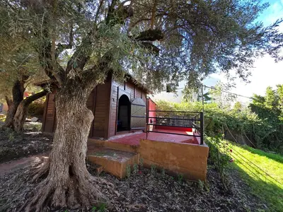 a small building with a tree and a staircase at Auberge RAMZ'S in Beni Mellal