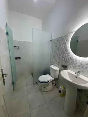 a bathroom with a toilet and a sink and a mirror at Appartement équipé