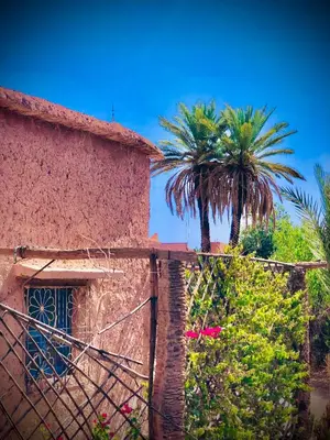 a building with a palm tree behind a fence at Zaouit the officialle in Ouarzazate
