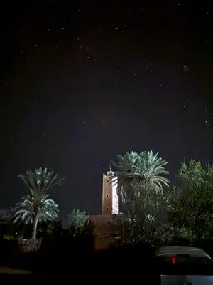 a night view of a building with palm trees at Zaouit the officialle in Ouarzazate