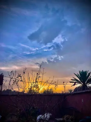 a sunset with a palm tree in the background at Zaouit the officialle in Ouarzazate