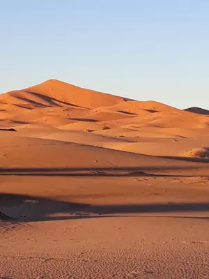 a sand dune in the middle of the desert at SAHARENA Camp in Merzouga