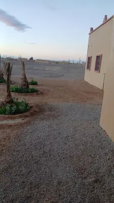 a building in the middle of a desert with two palm trees at Merzouga Sunshine traditional luxury camp in Merzouga