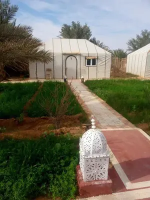 a white object in the grass next to a building at Merzouga Sunshine traditional luxury camp in Merzouga