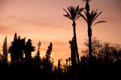 two palm trees in front of a sunset at Dar Basma - Boutique Hotel & Spa by Babakoul Collections in Aït Namous