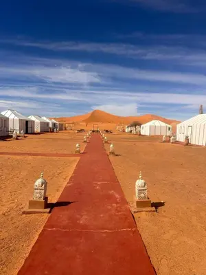 a row of birds sitting on a road in the desert at Sahara Spirit Luxury Camp in Merdani