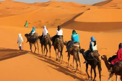 a group of people riding camels in the desert at Erg Chebbi Dream Camp in Merzouga