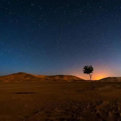 a lone tree in the desert under a night sky at Itran desert camp in Merzouga