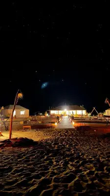 a beach at night with a palm tree and a building at Bivouac luxury camp in Merzouga