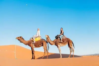 two people riding on the backs of camels in the desert at Azalai Haven Camp in Merzouga