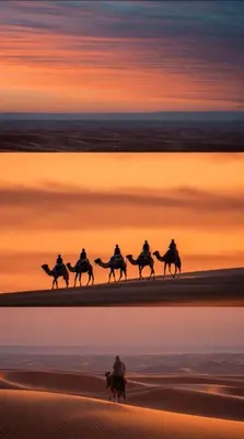 a group of people riding horses on the beach at sunset at Azadic luxury tents in Merzouga