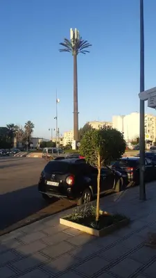 a car parked on the side of a street with a palm tree at إقامة حسن in Fès