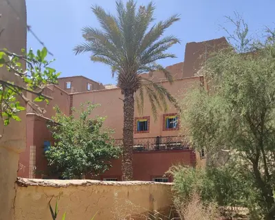 a palm tree in front of a building at Le Retour au calme Maison d'hôtes in Tinerhir