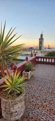 a row of potted plants on a brick patio at Riad Royal in Meknès