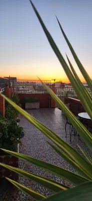 a sunset seen through the leaves of a palm tree at Riad Royal in Meknès