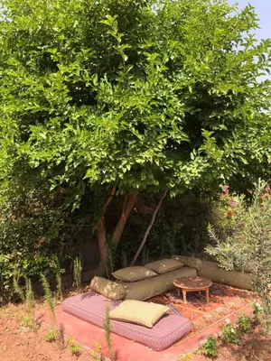 Gallery image of Gite & Camping route Ouarzazate in Chouiter