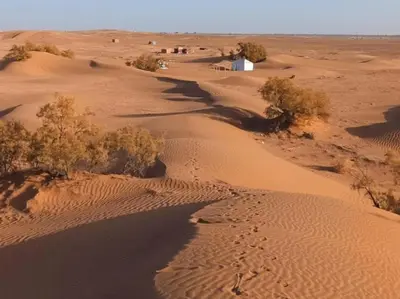 an aerial view of a desert with trees and sand at Nomads Life Style in Mhamid