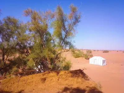 a white shed in the middle of a desert at Nomads Life Style in Mhamid