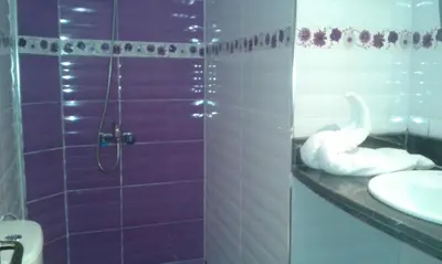 a bathroom with a shower with a white swan on a counter at Hotel School Ersat Azrou in Azrou