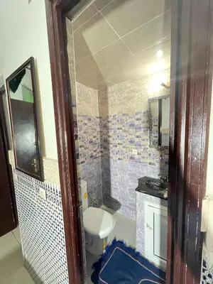 a small bathroom with a toilet and a shower at La Casa Espanyola in Fès