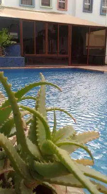 a green plant sitting next to a swimming pool at Riad Passiflora in Fès