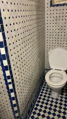 a bathroom with a toilet and a tiled wall at Dar El Arfaoui in Fès