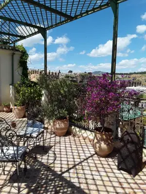 a patio with potted plants and chairs and a fence at Riad Vega in Fès