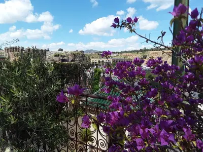 a bunch of purple flowers in front of a fence at Riad Vega in Fès
