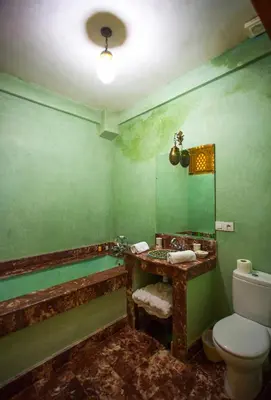 a green bathroom with a toilet and a sink at Riad Vega in Fès