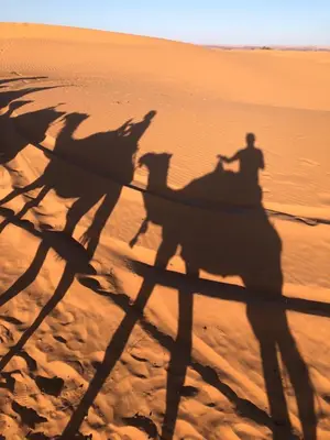 a shadow of a man riding a camel in the desert at Riad Les jardins de Merzouga in Merzouga