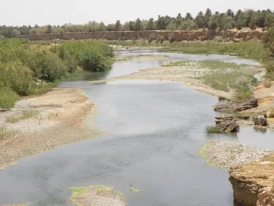 a river in the middle of a field at Maison La Berberina in Goulmima