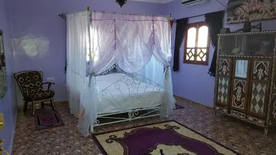 a bedroom with a bed with a canopy and a window at Dar Ilyana in Tamezmoute