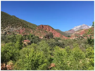 a view of a hill with trees and mountains at Chez Yahia, Au coeur de L'Ourika in Ourika