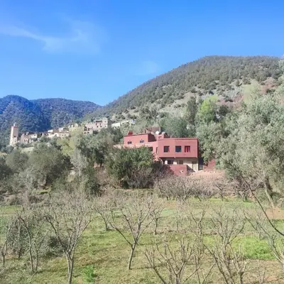 Chez Yahia