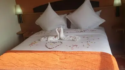a figurine of a dog laying on a bed with confetti at Hotel Arena Fes in Fès