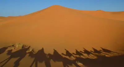 a group of shadows of people riding horses in the desert at Night Desert Camp in Merzouga