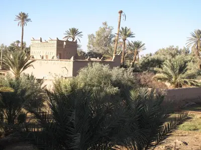 a building with palm trees in front of it at Gite Kasbah La Palmeraie in Skoura