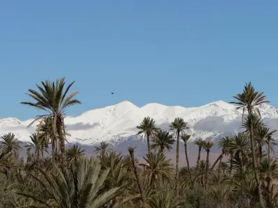 a group of palm trees and snow covered mountains at Gite Kasbah La Palmeraie in Skoura