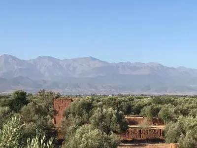 a view of the desert with mountains in the background at Villa La Zitoune in Aghmat