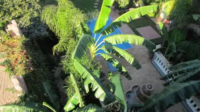 an overhead view of a garden with green plants at Villa La Zitoune in Aghmat