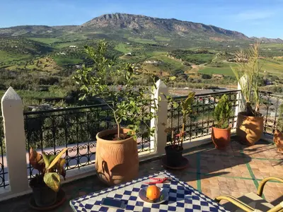 a balcony with potted plants and a view of a mountain at Fès Riad Scalia Traditional Guesthouse Morocco in Fès