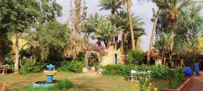 a garden with a blue fountain and palm trees at d'hôte Jnane-Dar Diafa in Tamegroute