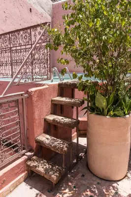 a set of wooden steps next to a potted plant at Riad El Ma in Meknès