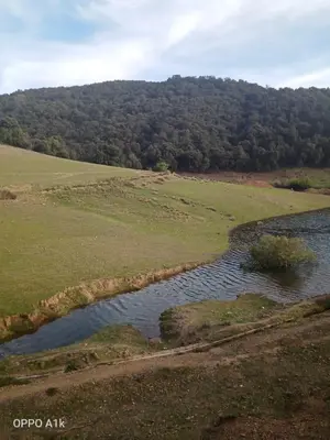 an aerial view of a river in a field at Le Gite du Barrage in Zaouia Ben Smine