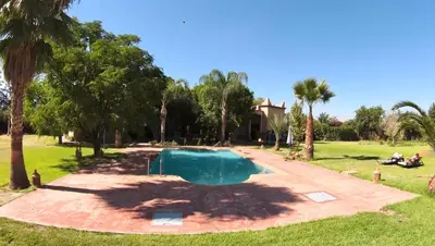 a swimming pool in a yard with palm trees at Teacook Marrakech in Ouled el guerne