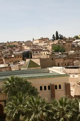 a view of a city with buildings and palm trees at Riad Batchisarai in Fès