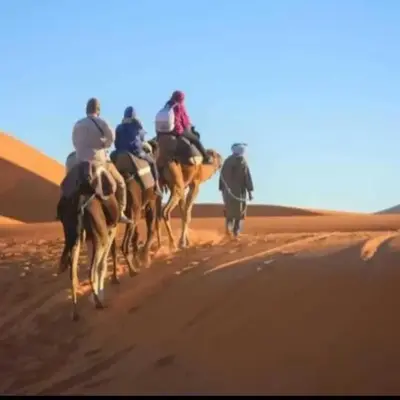 berber sahara