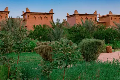 a building in the middle of a field with plants at Maison D'hôte Amridil in Skoura