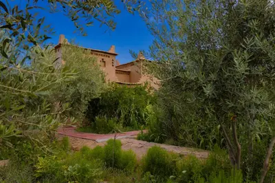 a house in the middle of a garden with trees at Maison D'hôte Amridil in Skoura
